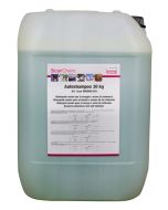 AUTOSHAMPOO LUCIDANTE
